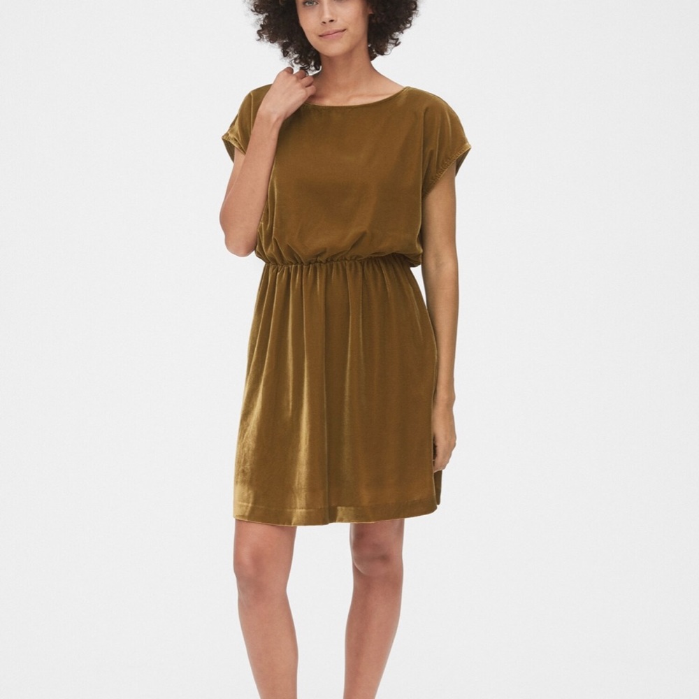NWT Gap Velvet dress